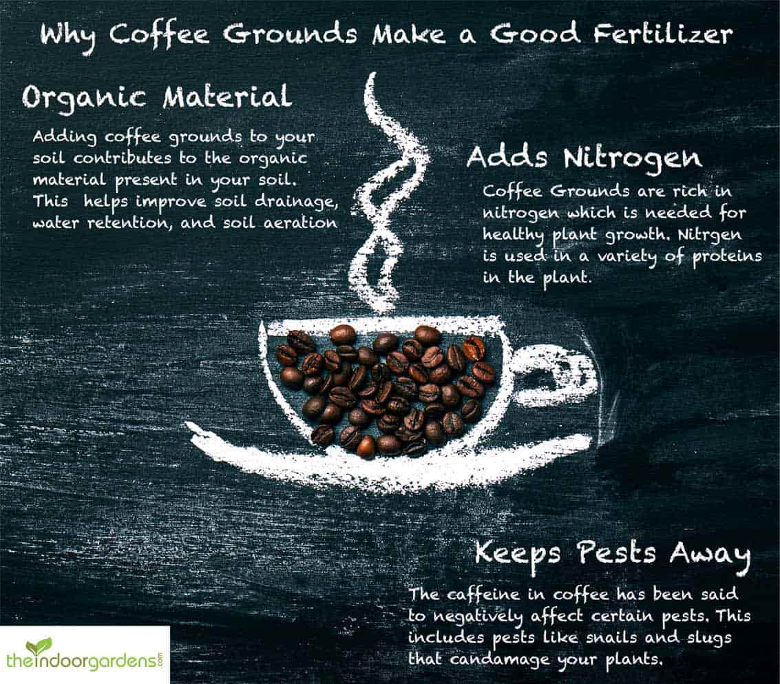 Why Coffee Grounds Make a Good Fertilizer