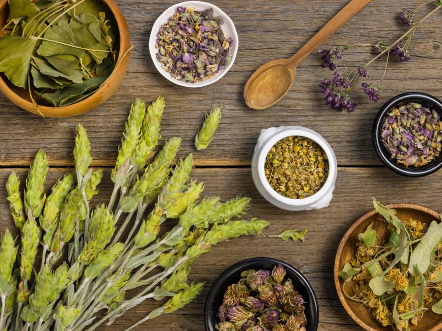 World Health Day: 10 of the Healthiest Herbs and Their Benefits