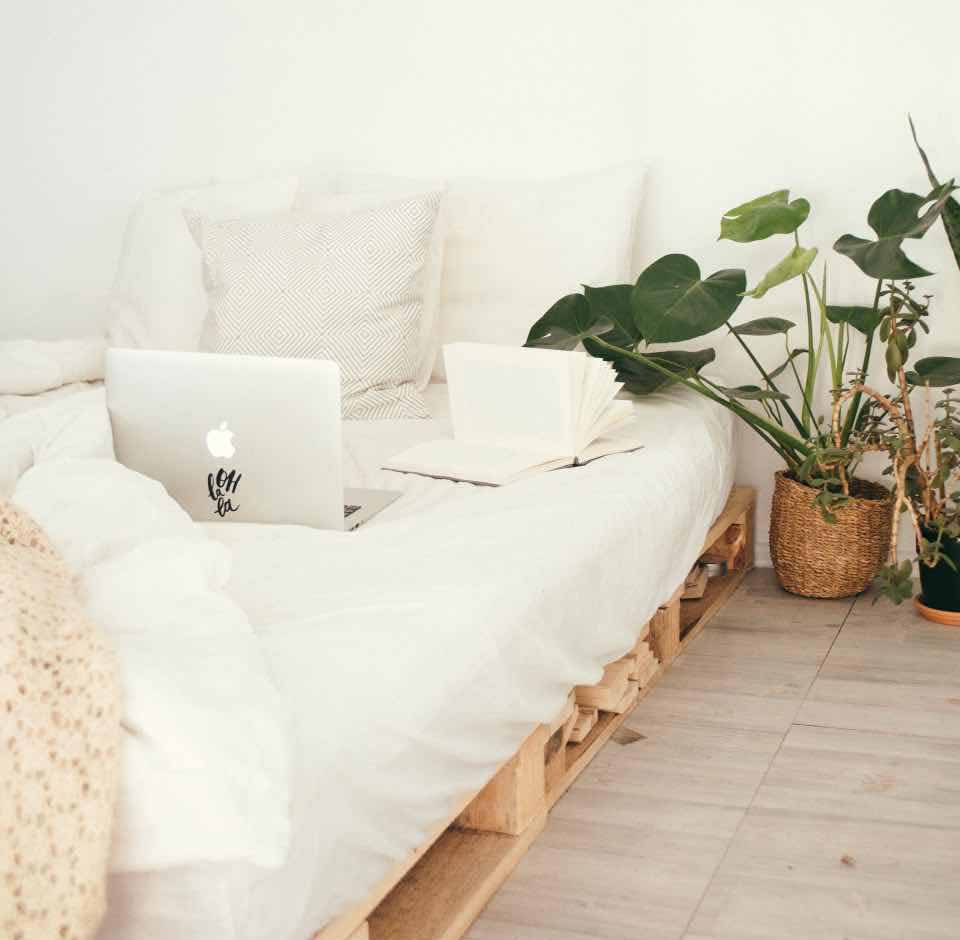 Is Having Plants in Your Bedroom Bad for Feng Shui?