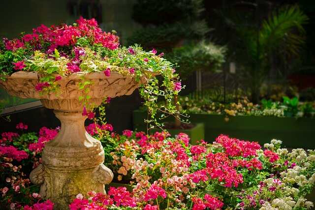 Indoor Plant Styling Tips: Tips And Tricks For Creating Aesthetic Plant Displays