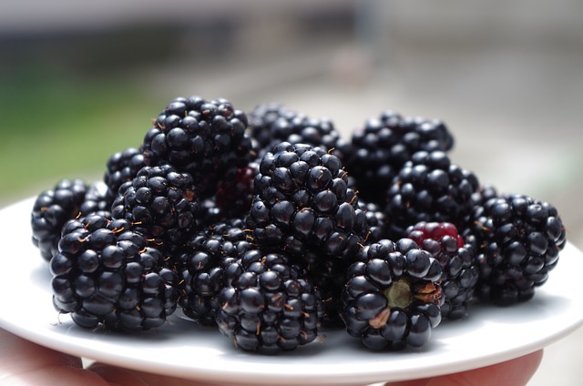 Freshly Harvested Blackberries