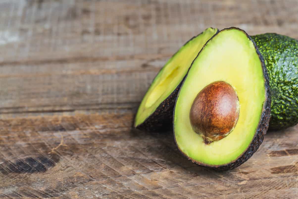 Growing An Avocado Indoors