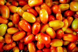 Roma Tomatoes