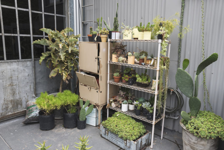 Shelf Garden