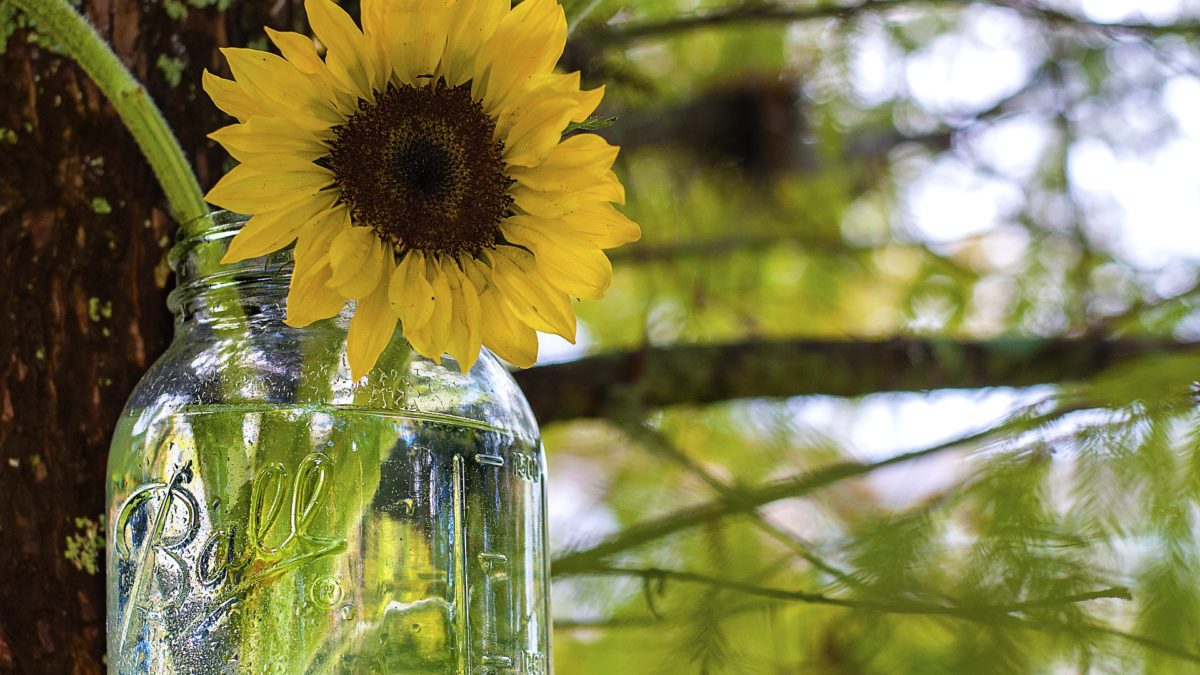 Making Your Own Mason Jar Garden