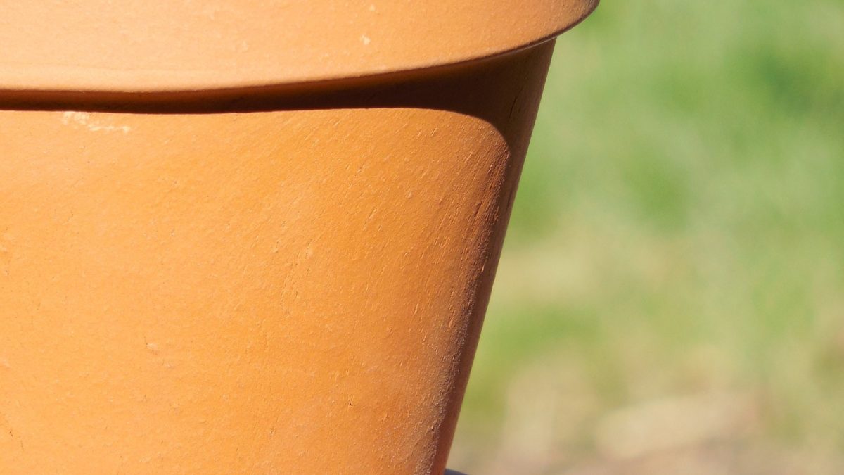 terra cotta pot