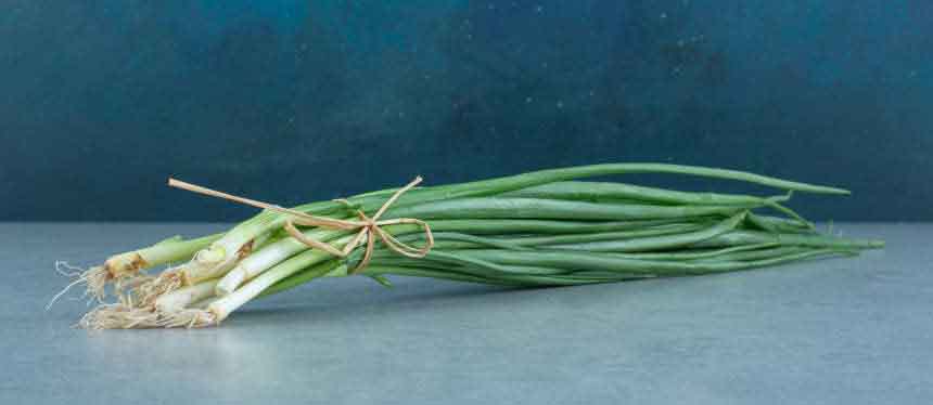 How to Harvest Chives