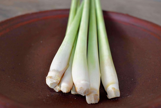 How to Propagate Lemongrass