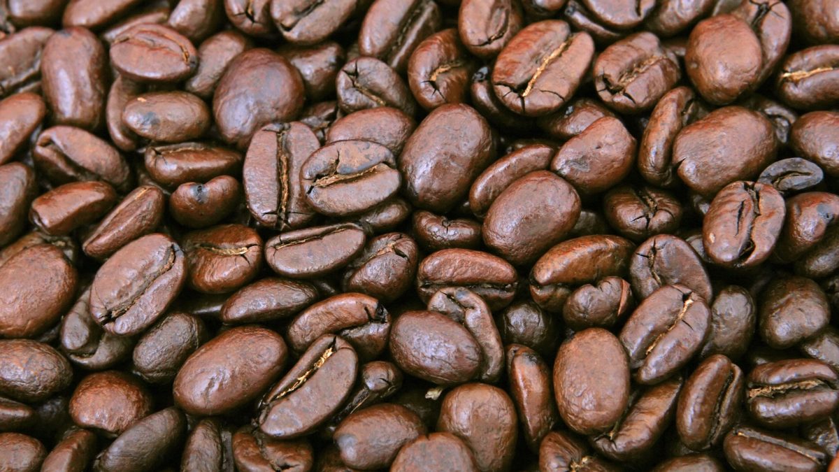 Using Coffee Grounds as a Homemade Fertilizer