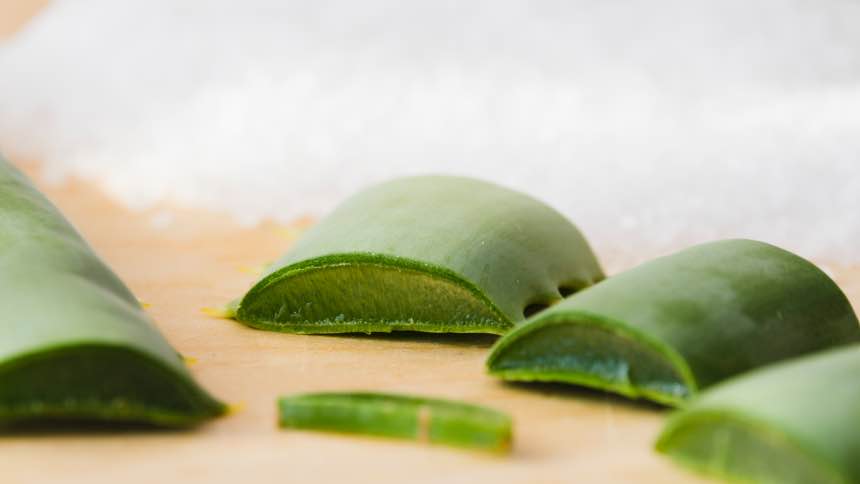 7 Amazing Benefits of Aloe Vera and How to Grow It Yourself