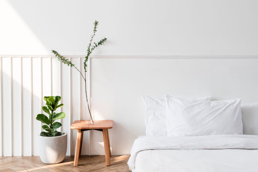 10 Plants to Keep in Your Bedroom for Better Sleep
