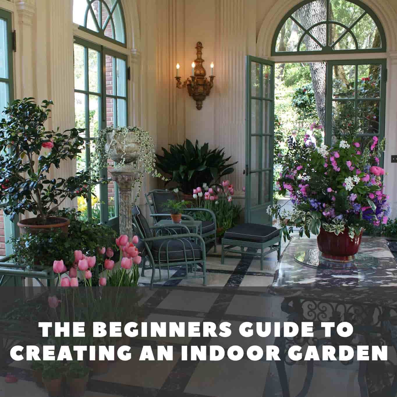 The Beginners Guide To Starting an Indoor Garden