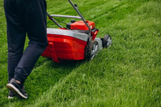 Mastering DIY Lawn Care