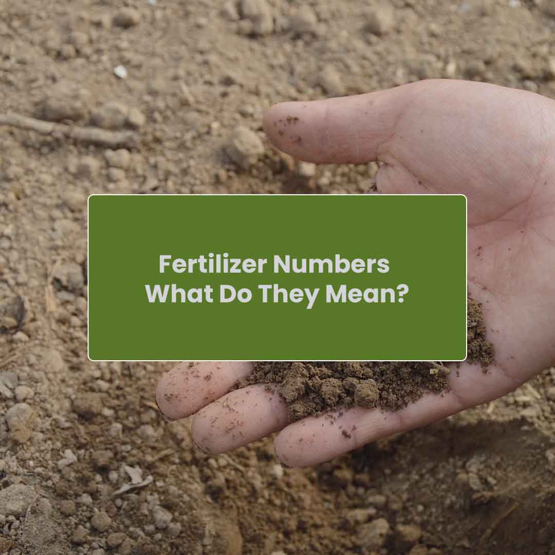 Fertilizer Numbers – What Do They Mean?