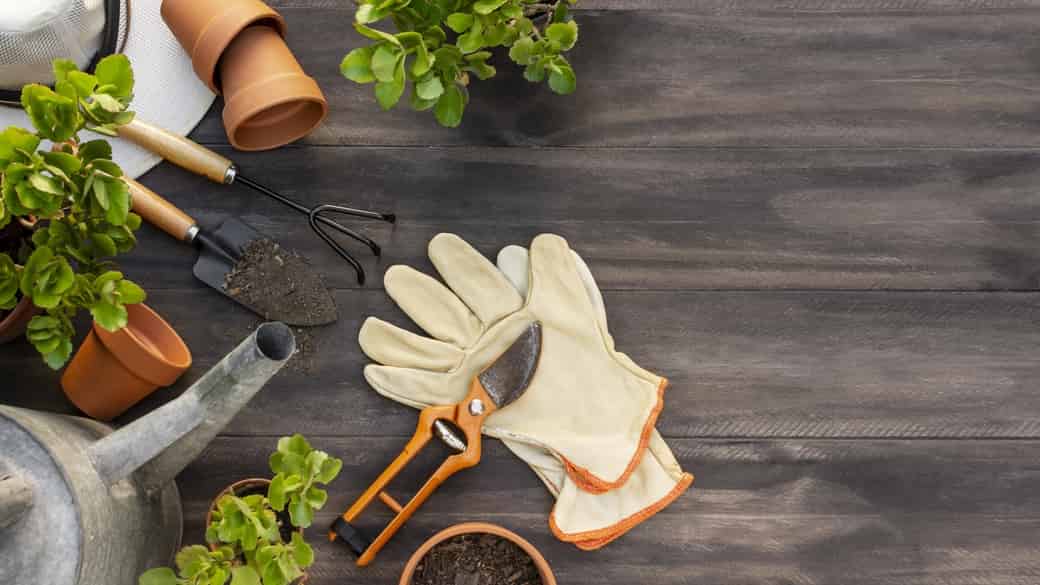 2021 Gardening Holiday Gift Guide