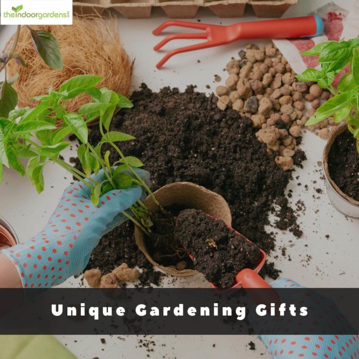 Unique Gifts For Garden Lovers