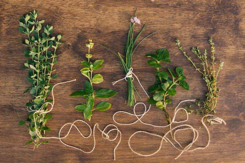 10 Herbs You Should Grow In Early Spring
