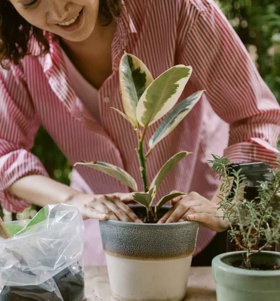 10 Easy Ways To Keep Your Indoor Garden Healthy