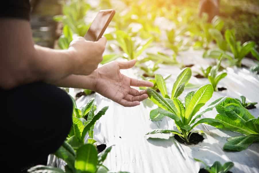 All About Smart Gardening