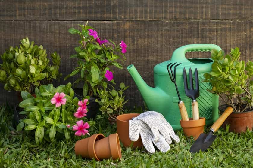 3 Garden Goals for Summer 2022