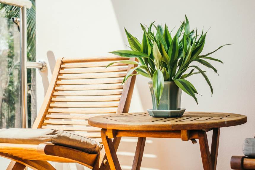10 Things You Need to Know When Summer Gardening Indoors