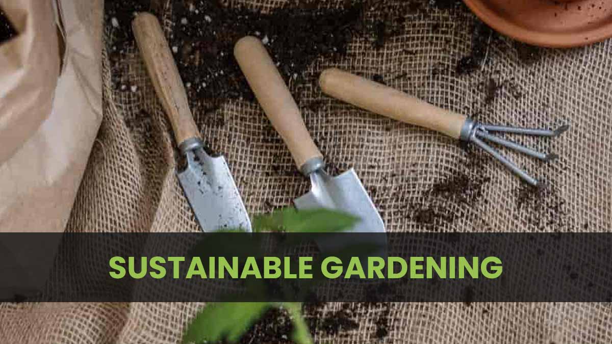 Sustainable Gardening Ideas