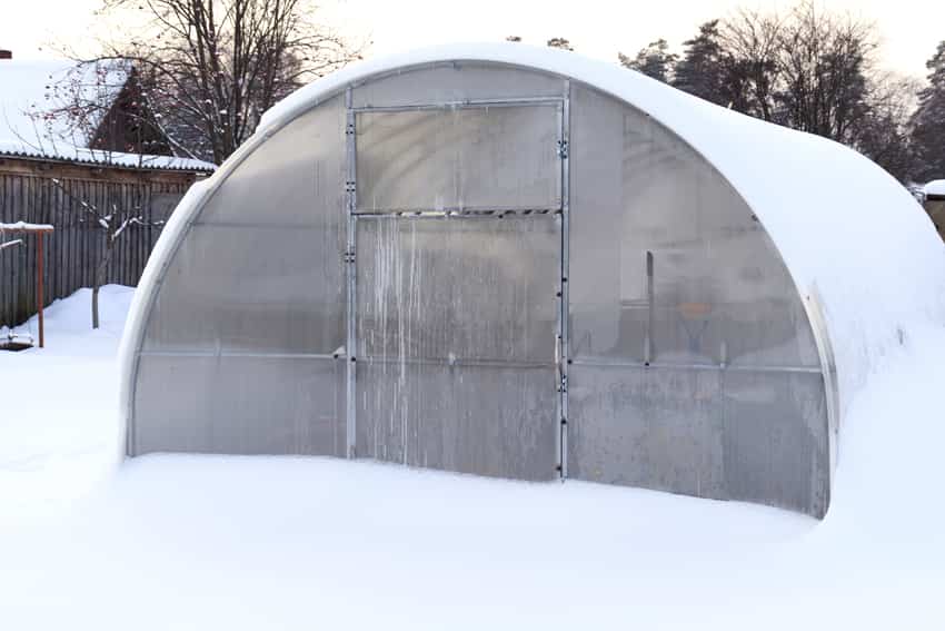 Winter Greenhouse Gardening