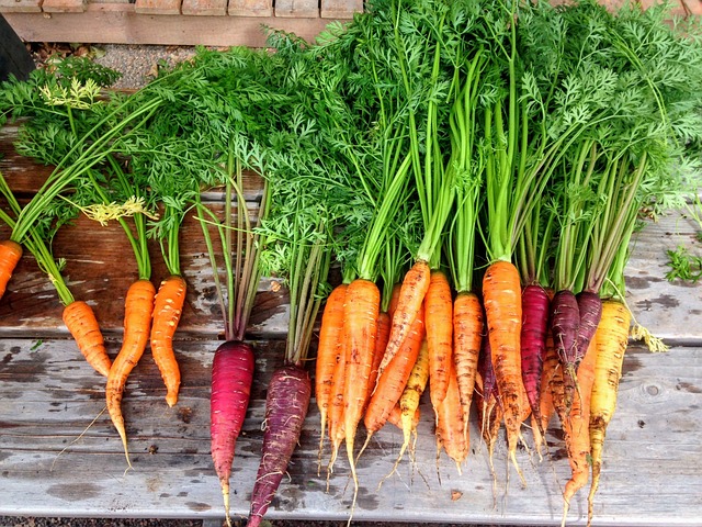 Various Carrots