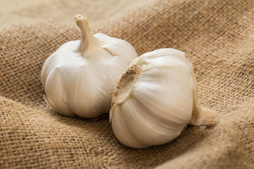 Hardneck Garlic