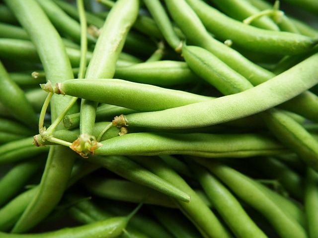 Blue Lake Green Beans