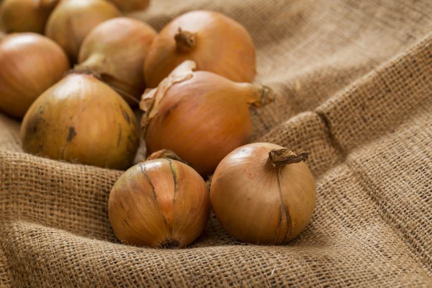 Growing Onions Indoors