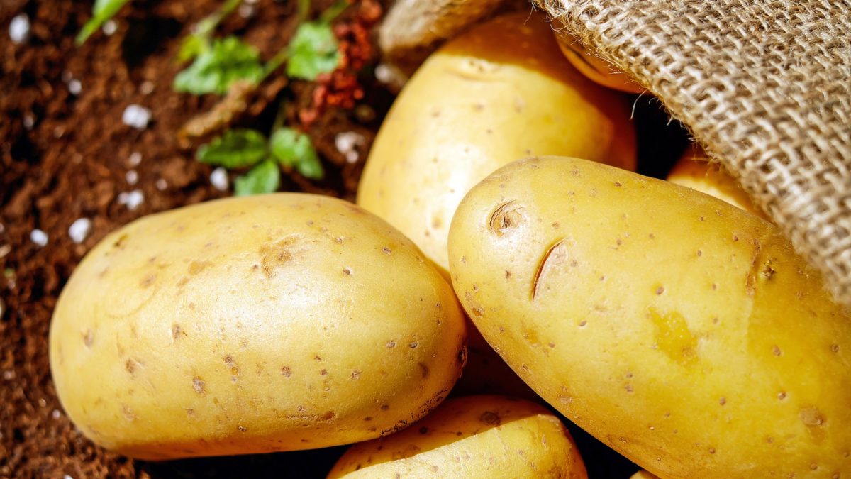 How To Grow Potatoes Indoors