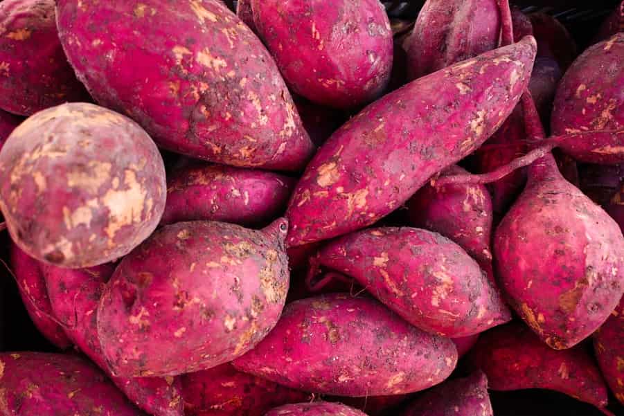 Growing Sweet Potatoes Indoors