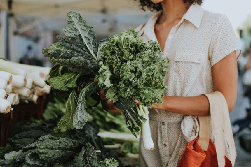 8 Best Varieties of Kale to Grow, Harvest, and Eat